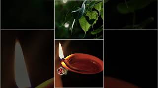 Maa Laxmi Remedy For Wealth05shortsbageshwardhamsarkaryoutubeshortslaxmiwealthastrology [upl. by Weeks]