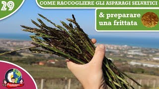 COME RACCOGLIERE GLI ASPARAGI SELVATICI amp PREPARARE UNA FRITTATA [upl. by Brownley]