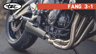 NEW Fang 31 Exhaust System  Trident 660 amp Tiger 660 [upl. by Ritz]