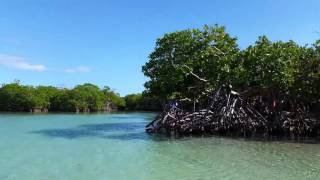 Gilligans Island  Guanica Puerto Rico [upl. by Anaujahs]