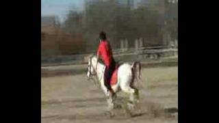 poney games open benjamin clément le logis du poney [upl. by Charmine]