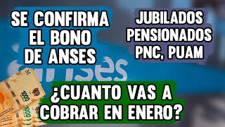 🛑ANSES ENERO 2024 ¿De CUÁNTO será el BONO para los JUBILADOS y quiénes lo COBRAN [upl. by Eniamzaj]