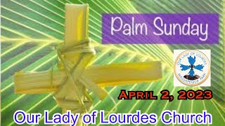 Palm Sunday  April 2 2023  Msgr Jim Lisante Pastor Our Lady of Lourdes Church [upl. by Auric923]