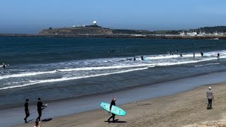 61624 Sunny Day Surfers’ Beach Surfing Pillar Point Half Moon Bay Jetty [upl. by Sprung]