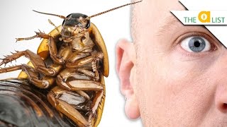 5 Bugs That Could LIVE IN YOUR HEAD [upl. by Eniad]