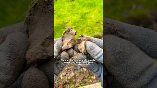 2 Easy Steps to Improve Clay Soil [upl. by Granoff]