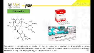 Obtención de eritromicina [upl. by Leakcim149]