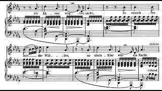 Mondnacht R Schumann Score Animation [upl. by Ailemaj]