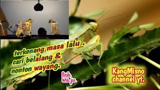 teringat waktu hidup di desa  bila dengar lagu amp nonton hiburan ini  kangmisno8333 [upl. by Valeda639]