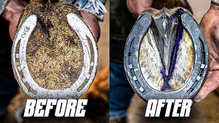 Satisfying Horse Hoof Restoration  4K ASMR [upl. by Ixel]