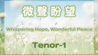 微聲盼望Whispering Hope Wonderful Peace  Tenor1 [upl. by Rondon600]