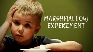 Das Marshmallow Experiment  Die Macht des Belohnungsaufschubs [upl. by Margo]