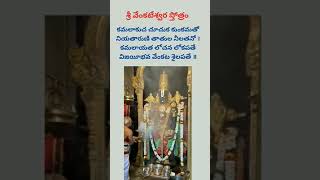 శ్రీ వేంకటేశ్వర స్తోత్రం [upl. by Elin23]