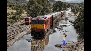 11l Estación de Tren Tapachula Chiapas [upl. by Acirahs]