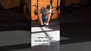 Build Serious Core Strength with Ab Wheel Rollouts youtubeshorts [upl. by Aelahs]