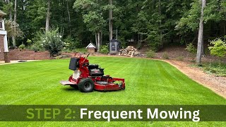 Mow New Turf  How to Make Zoysia Thicker  Seeded Zenith Zoysia [upl. by Dnomed]