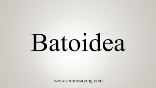 How To Say Batoidea [upl. by Avis]