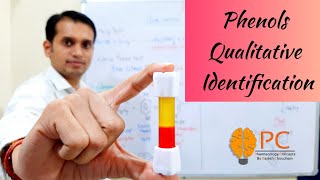 Phenols Part 5 Qualitative Identification Tests for phenols [upl. by Happy]