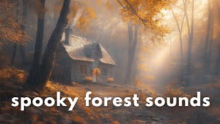 Forest Ambience 🌧️ Rain and Spooky Forest SoundsㅣHalloween Ambience [upl. by Hayward]