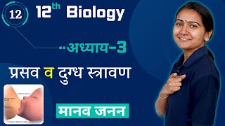 L12 प्रसव व दुग्ध स्त्रावण  Parturition Lactation  Chp3 मानव जनन  Human Reproduction  Bio [upl. by Sophronia]