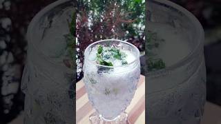 Mint Mojito Recipe  Virgin Mojito  How to make virgin mojito  Sprite Mojito Short drinkviral [upl. by Kym]