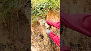 How to Clear Blocked Drains and Restore Flow cloggeddrain shorts shortvideo video satisfying [upl. by Lingwood31]