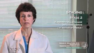 Uterine Cancer Staging 3 [upl. by Nike]