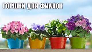 Горшки для фиалок Как правильно выбрать [upl. by Fong]