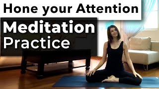 Hone your Attention  Meditation Practice [upl. by Eerehc]