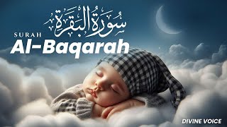 Quran for Sleep  Surah AlBaqarah  Heal with the Soothing Power of Quran  sleep quranforsleep [upl. by Walrath670]