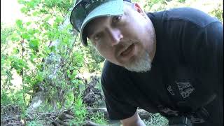 Fishing the Gasconade River for Catfish and Bass [upl. by Cerallua660]