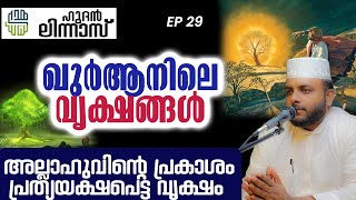 അല്ലാഹുവിന്റെ പ്രകാശം പ്രത്യയക്ഷപെട്ട വൃക്ഷം [upl. by Dibri884]