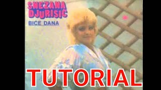 Snezana Djurisic  Noc se sprema USPORENO Tutorial [upl. by Lebazi]