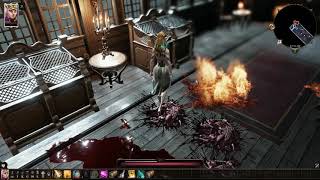 Divinity Original Sin 2 Find the Murderer Troubled Waters [upl. by Ria429]