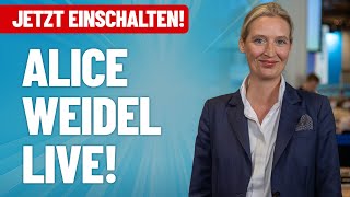 Alice Weidel live aus Karlsruhe  AfD [upl. by Ferren264]