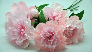 Jak zrobić piękne peonie z bibuły  How to make crepe paper peony DIY [upl. by Couture]