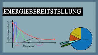 Energiebereitstellung im Muskel  Verlauf mit Erklärung  Grafiken  Knowhow fürs Training [upl. by Swann904]