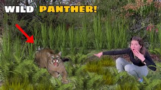 GIANT PANTHER ON THE LOOSE DID WE CATCH IT [upl. by Robinet892]