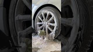 Tire amp Wheel Wash Party【ASMR】 [upl. by Yesoj]