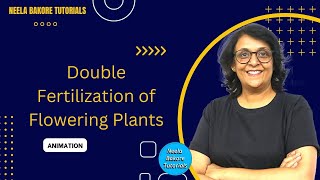 Double Fertilization in Flowering Plants  Animation  NEET  Neela Bakore Tutorials [upl. by Mackenie185]