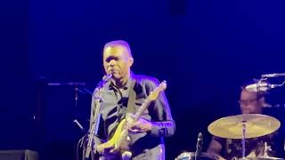 Robert Cray  You Cant Make Me Change [upl. by Anikat]