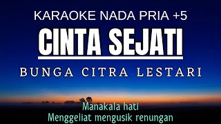 BCL  Cinta Sejati Karaoke Male Key Nada Pria 5 Gm [upl. by Behah]