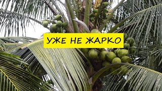 Вьетнам Нячанг погода сегодня 17 октября 2024 года ❤️ Не жарко и комфортно [upl. by Aicinet726]