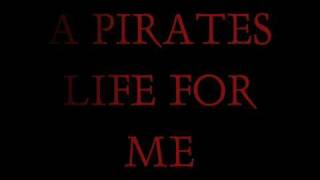 Disneys Karaokes  Pirates of the Caribbean [upl. by Kapoor752]