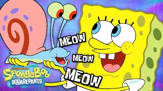 EVERY Gary Meow Ever 🐌  SpongeBob [upl. by Anawed]