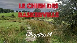 Livre audio  le Chien des Baskerville  Chapitre 14 [upl. by Mellisent]