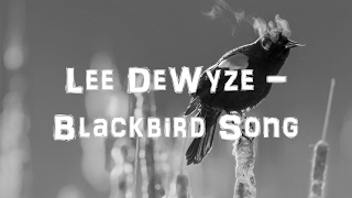 Lee DeWyze  Blackbird Song Acoustic CoverLyricsKaraoke [upl. by Nahs180]