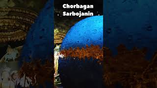 Chorbagan Sarbojanin durgapuja2024 bestthemepandel [upl. by Halland]