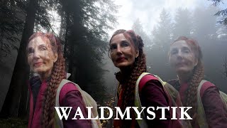 Waldmystik am Fohramoos  ein Herbstspaziergang auf einsamen Pfaden [upl. by Mather736]