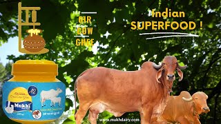 Gir Cow A2 Desi Curd Culture Bilona GheeIndian Super foodMukhia Amrutam BrandI Mukhi Dairy I Hindi [upl. by Aryas200]